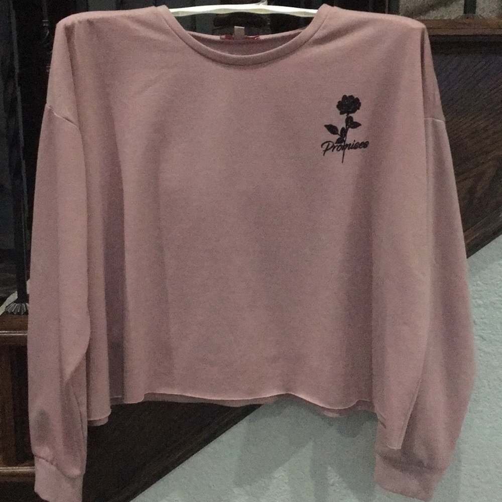 Blush colored long sleeve crop top.